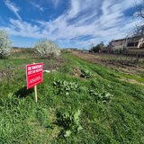 Bolintin- Deal, 2 loturi de teren extravilan 7800 mp si 2500 mp, pret negociabil